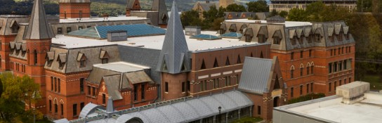 Cornell MBA